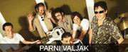 PARNI VALJAK